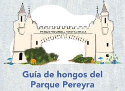 Guia hongos Pereyra teaser